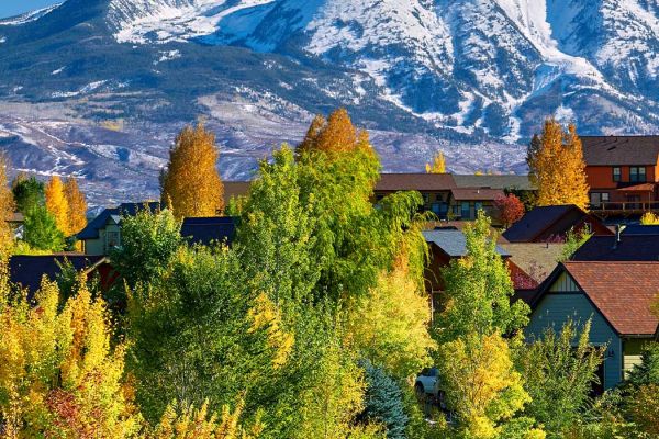 Residential houses in the trees in the mountains.
